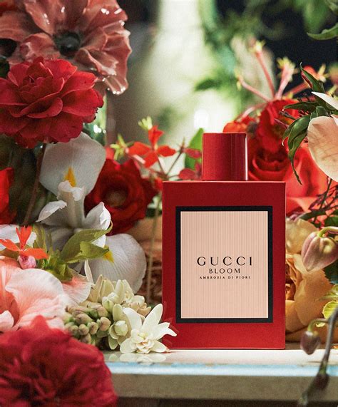 gucci bloom ambrosia di fiori douglas|gucci bloom acqua di fiori.